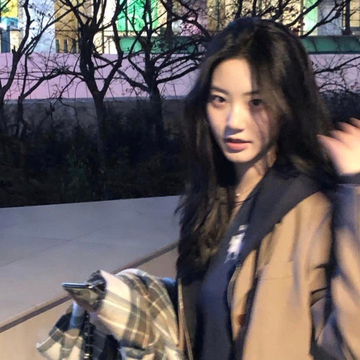 热门精选十二